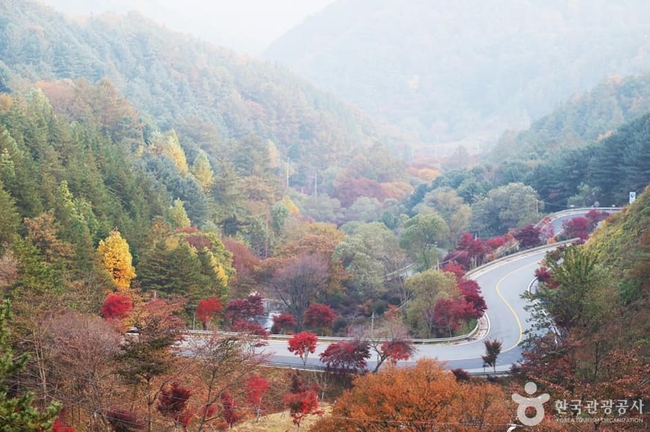 지리산 가는길 (4)