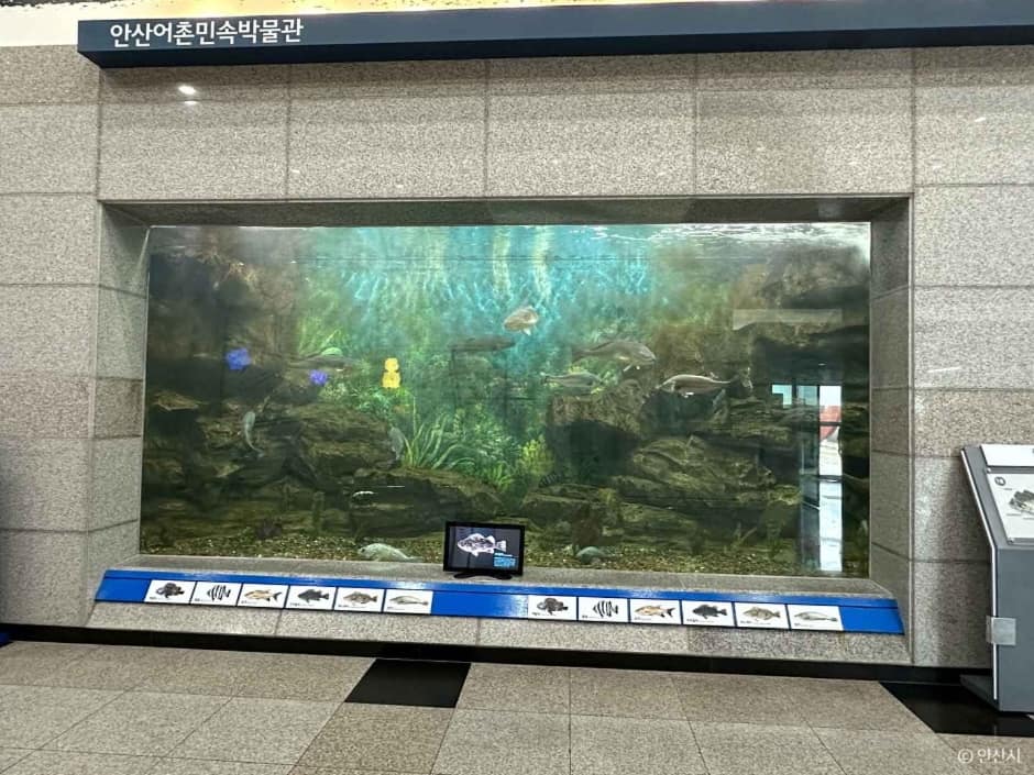 어촌민속박물관 (3)