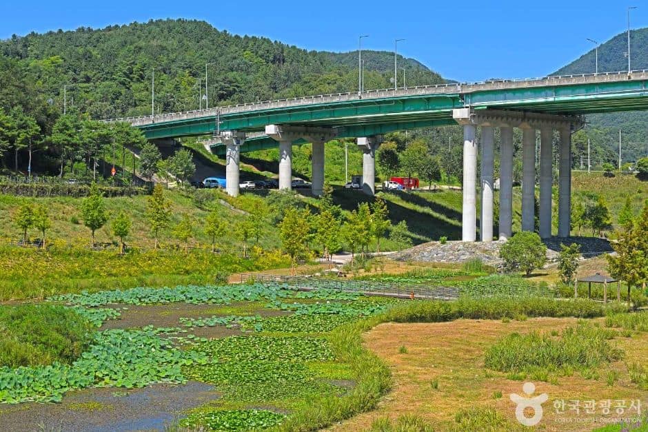 영월_강변저류지 (3)