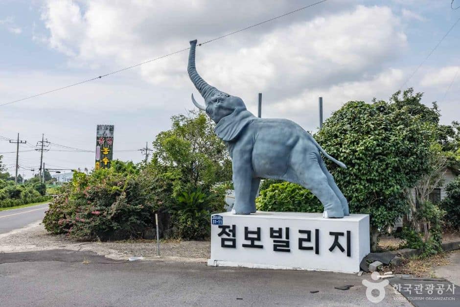 제주_서귀포_점보빌리지 (2)