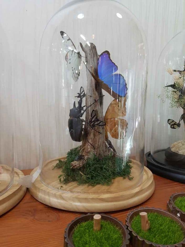 세산곤충체험농장_체험_3