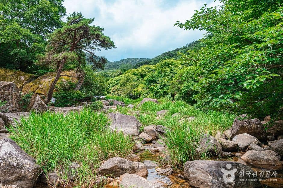 광주_[무등산 옛길 3구간] 장원삼거리~환벽당 (4)