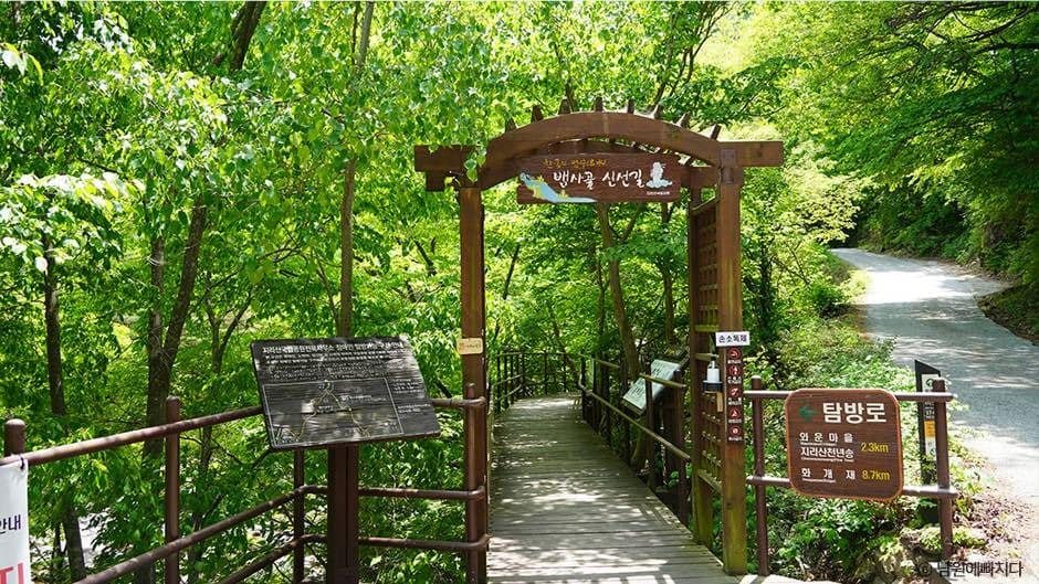 남원_뱀사골계곡 (4)