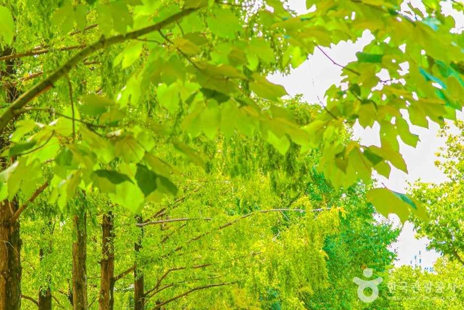 호산공원 (2)