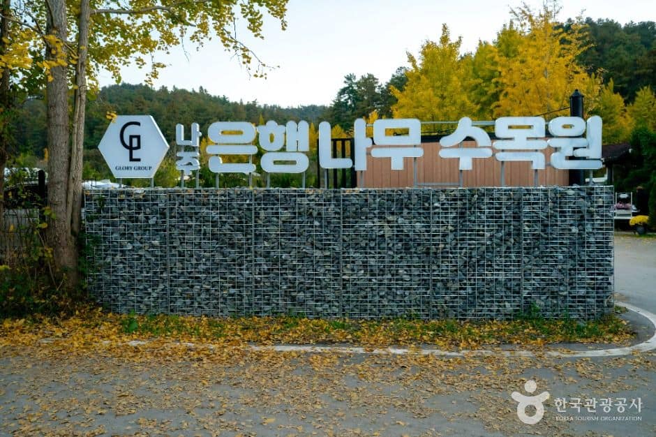 나주_나주은행나무수목원 (4)
