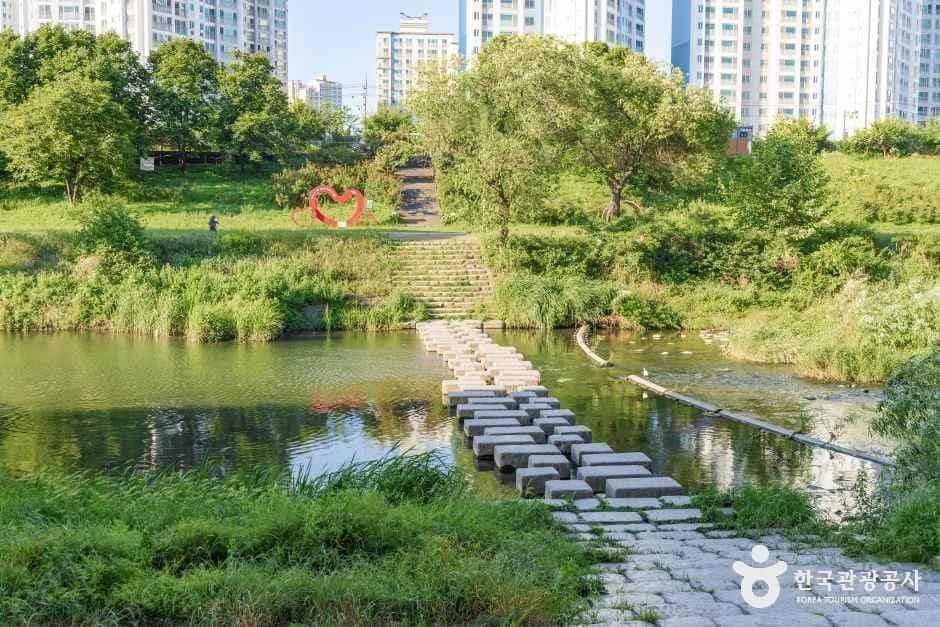 서울_청계천 자전거도로 (5).jpg