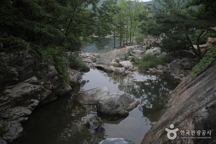 선유동계곡