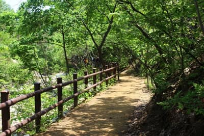 계룡산 수통골