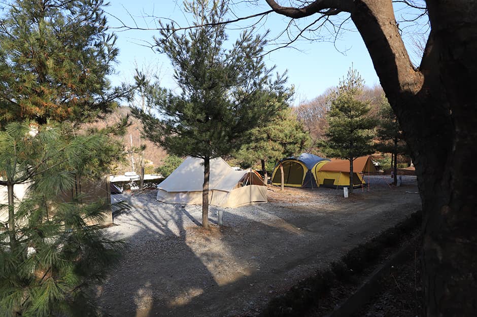 양평수목원캠핑장_사이트