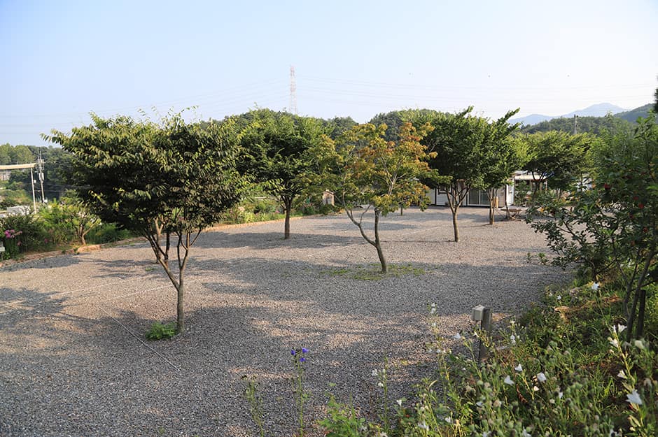 힐스톤캠핑장_전경3