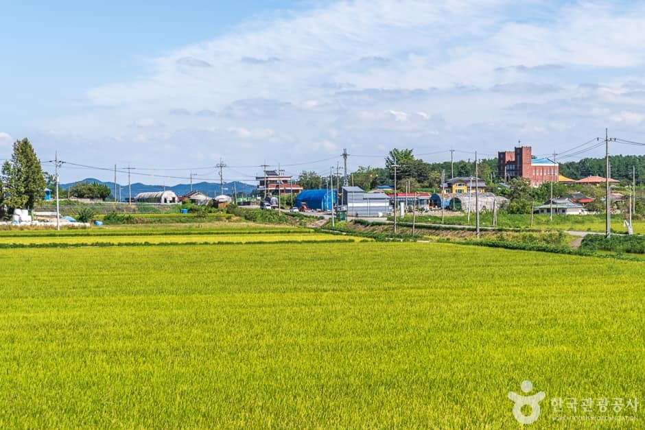 서천 달고개모시마을 (15)