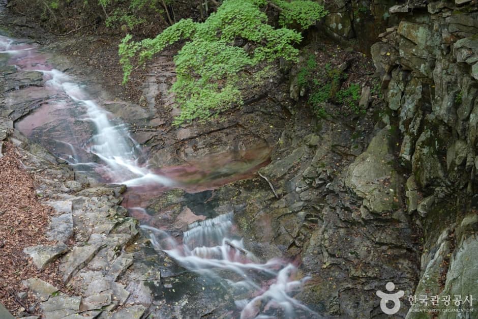 경북_청도_국립 운문산자연휴양림 (9)