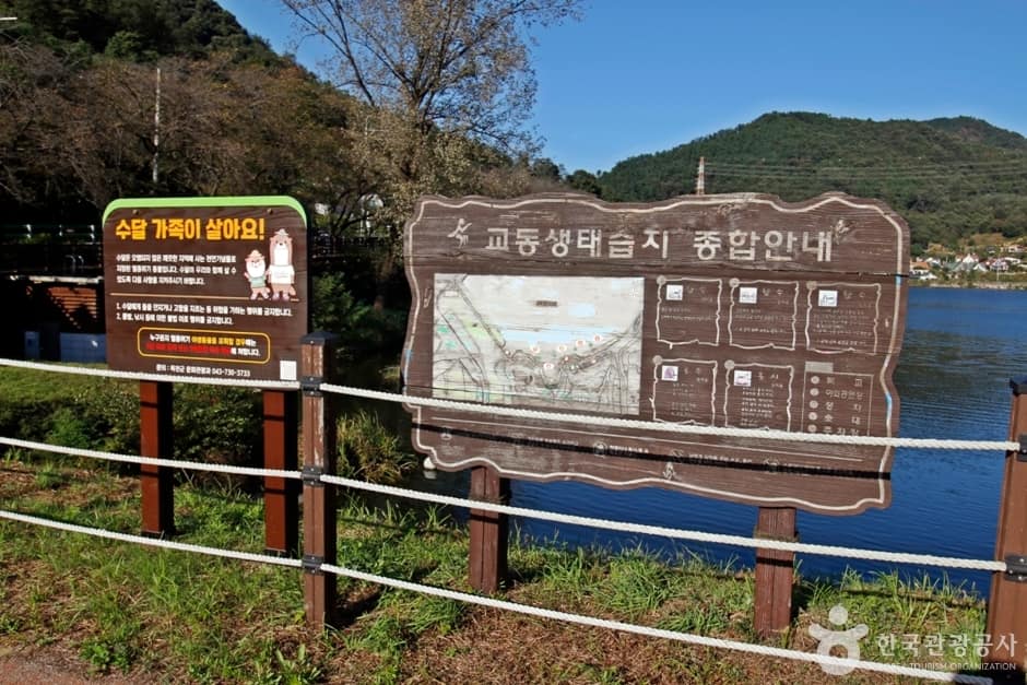 옥천 향수 200리 자전거길(대청호코스) (13)