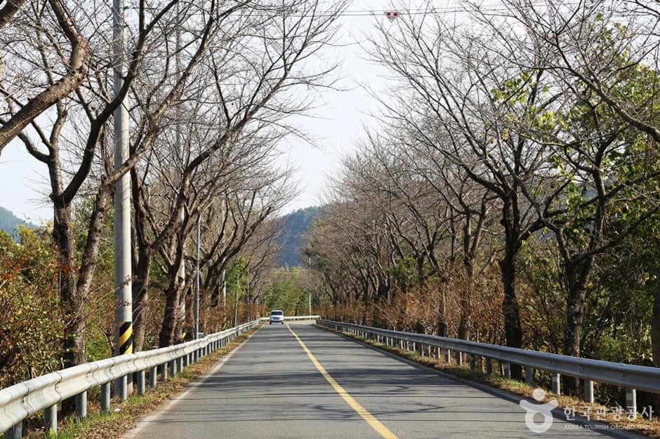 진양호 일주도로 (6)