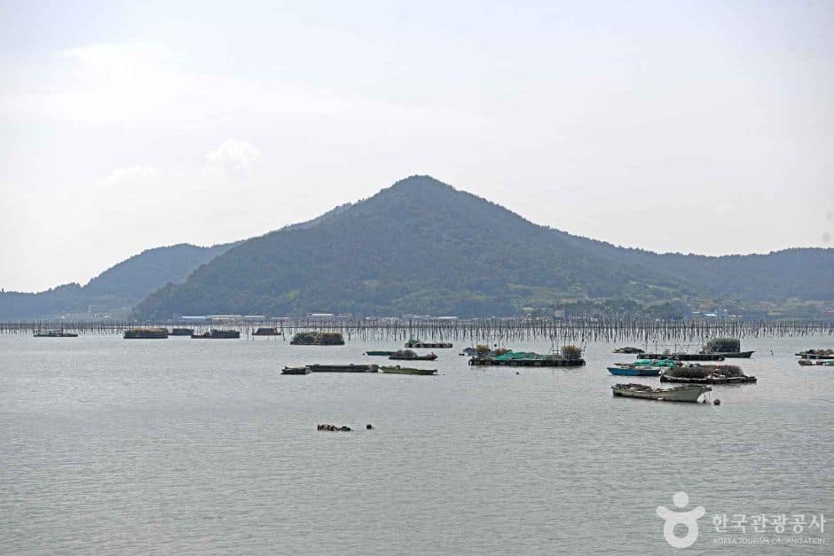 장흥_노력도 (5)