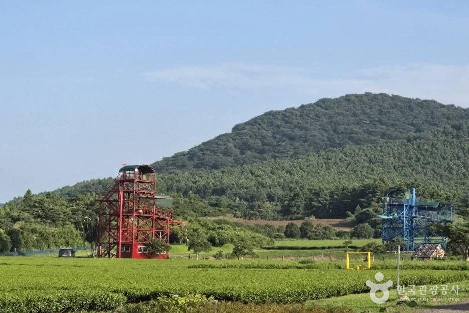 제주라프_e (2)