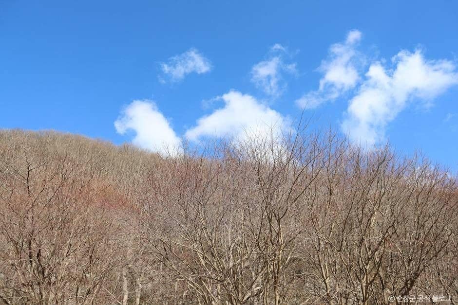 순창_국립 회문산자연휴양림 (2)