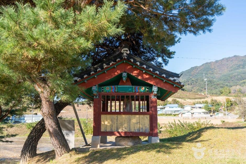 제천_제천 시곡리 석조여래입상 (6)