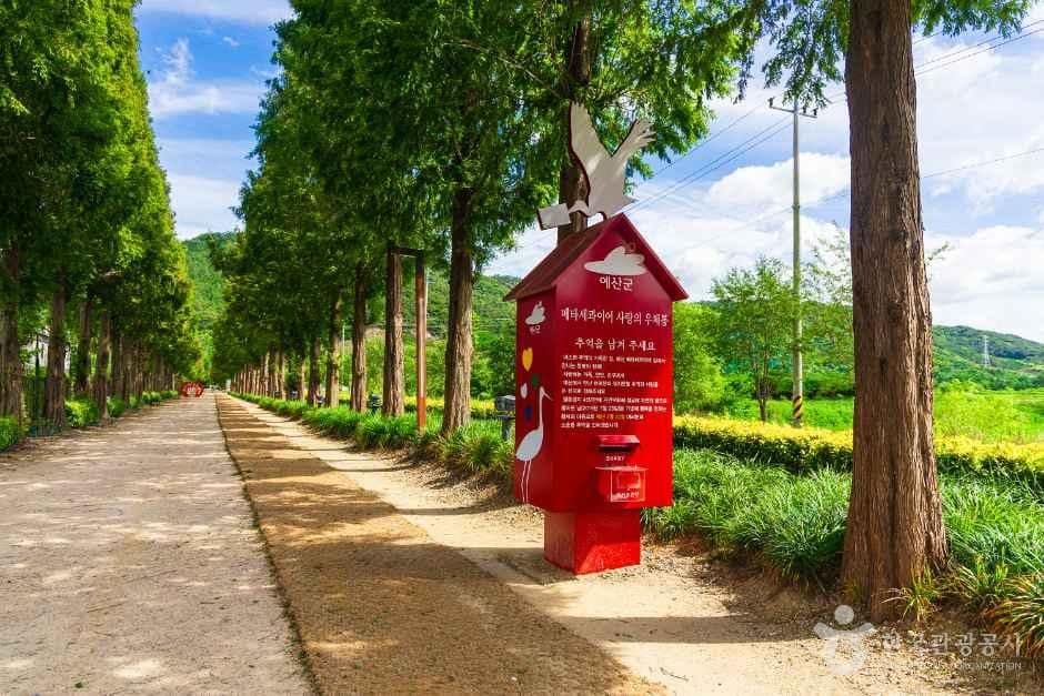 충남_예산_덕산메타세쿼이아길_외부_7.jpg
