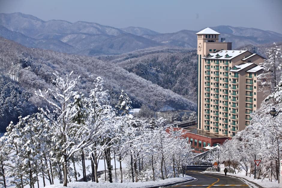 오크밸리스키장_3