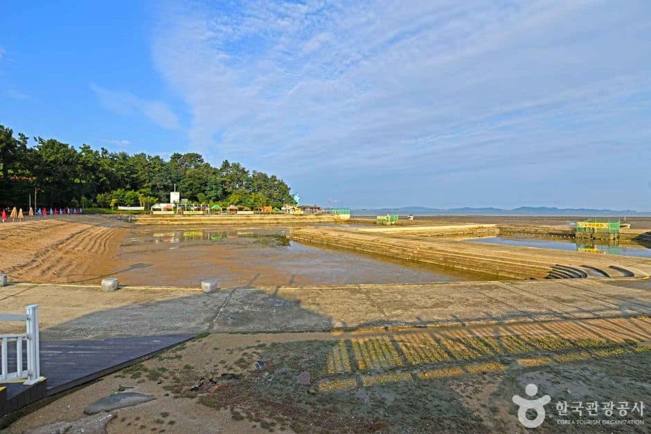 돌머리해수욕장 (6)