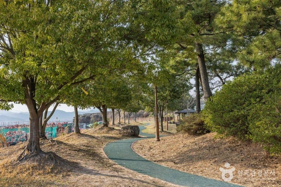 순천_와온해변 (1)