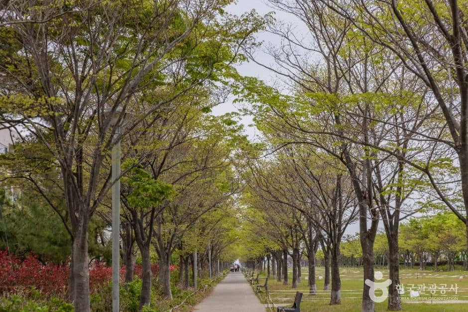 부산_아미르공원 (2)