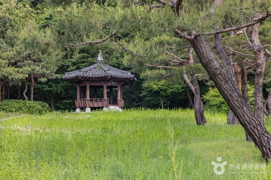 청주_손병희 유허지 (9)