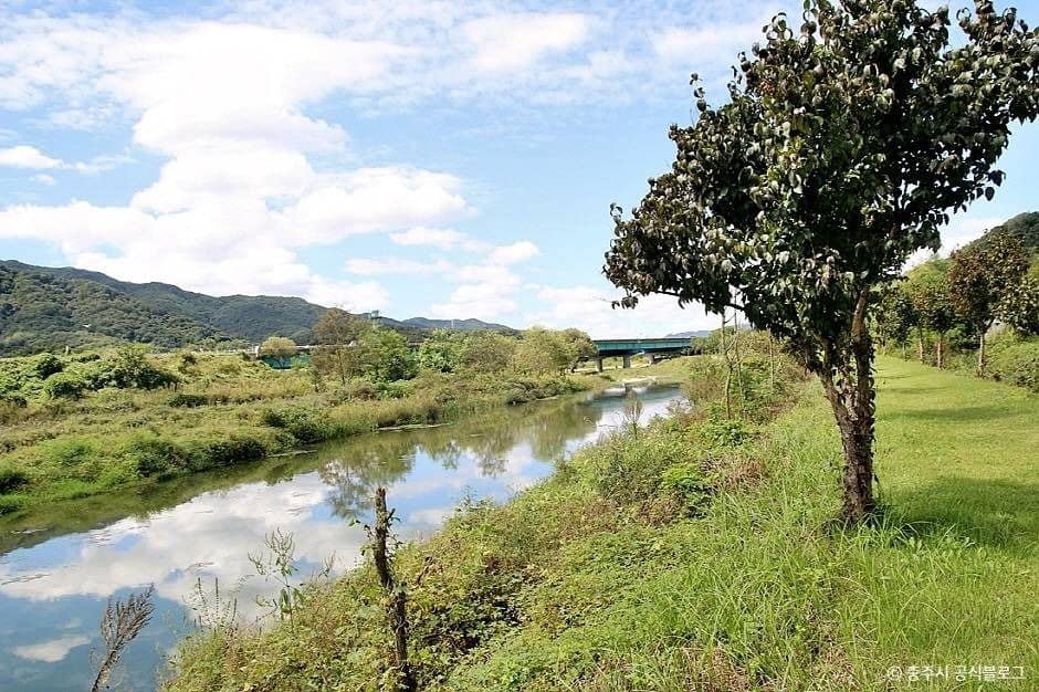충주_비내길 (2)