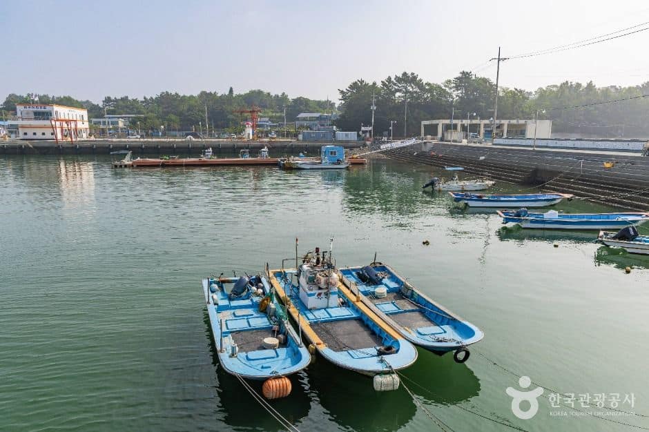 사천_비토섬 (7)
