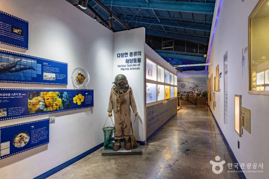 제주_제주해양동물박물관 (6)