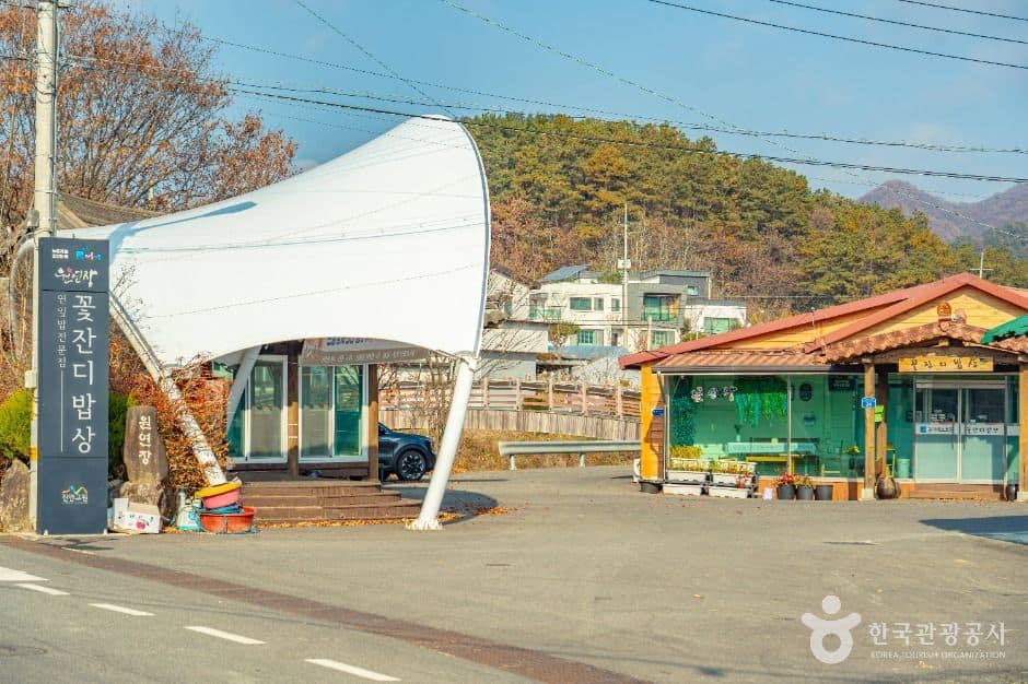 진안_원연장 꽃잔디마을 (2)