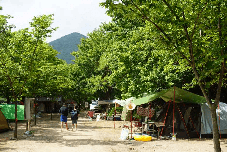 청도_운문산군립공원 (1).png