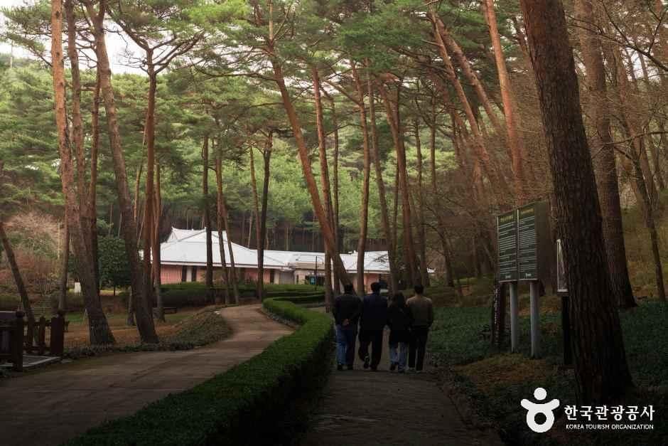 충남_태안_안면도자연휴양림_외부_4.jpg