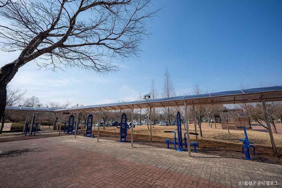 음성_금왕생활체육공원 (6).jpg