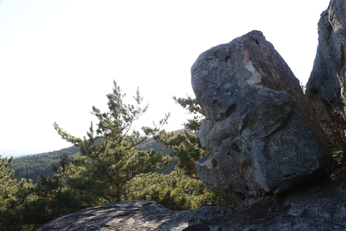철암산 화석산지_3