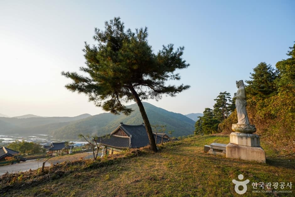 경북_경산_반룡사(경산) (8)
