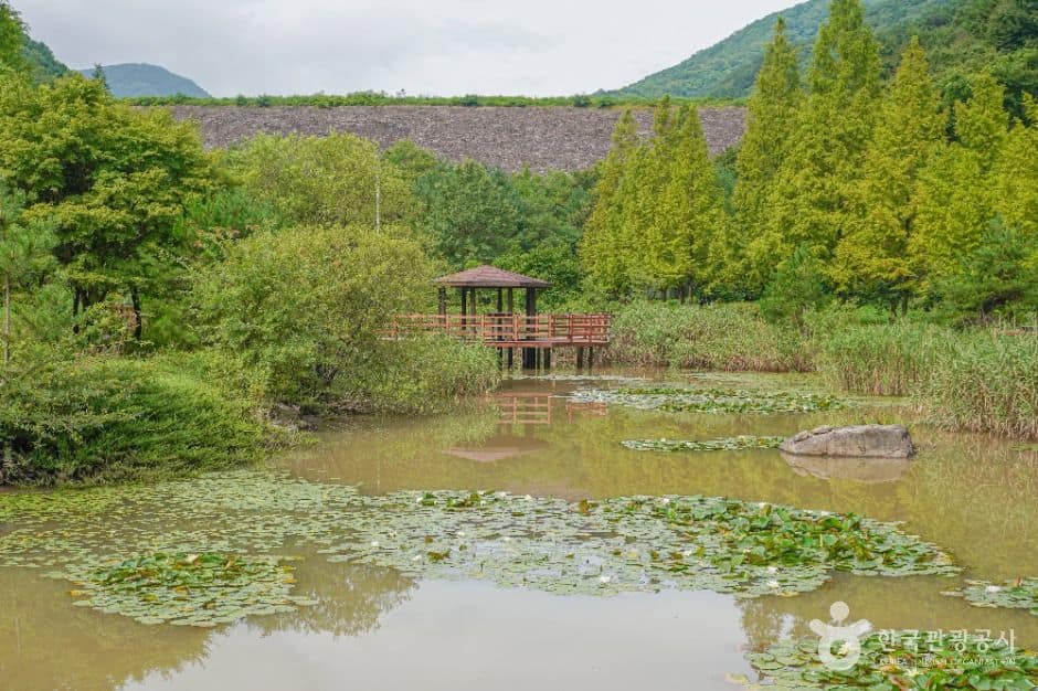 의령_의령예술촌 (2)
