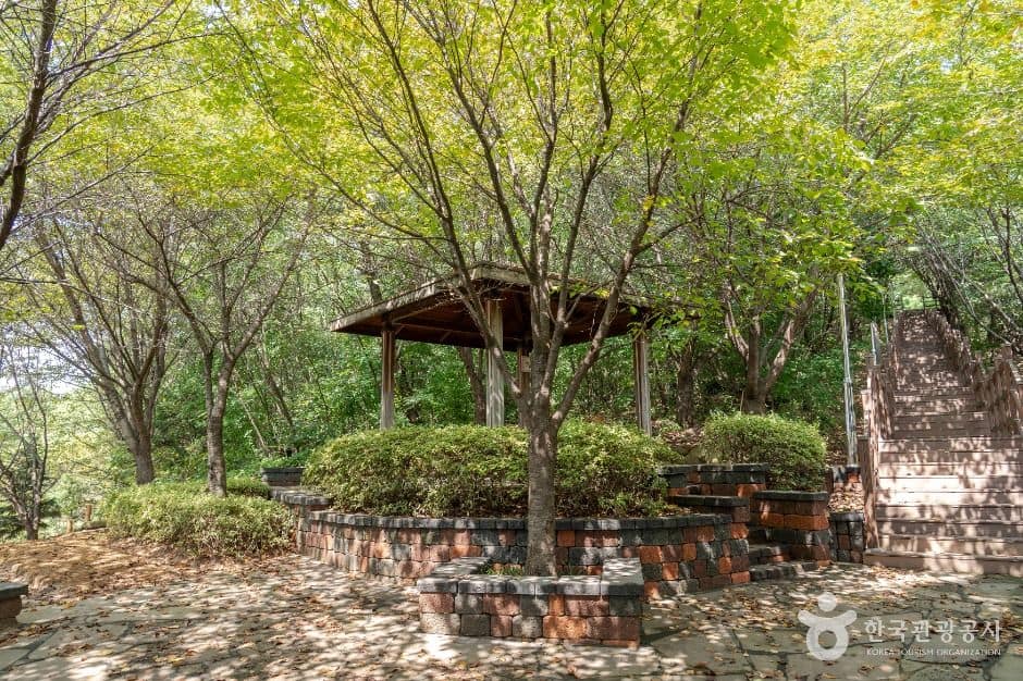 성남_영장공원 (2)