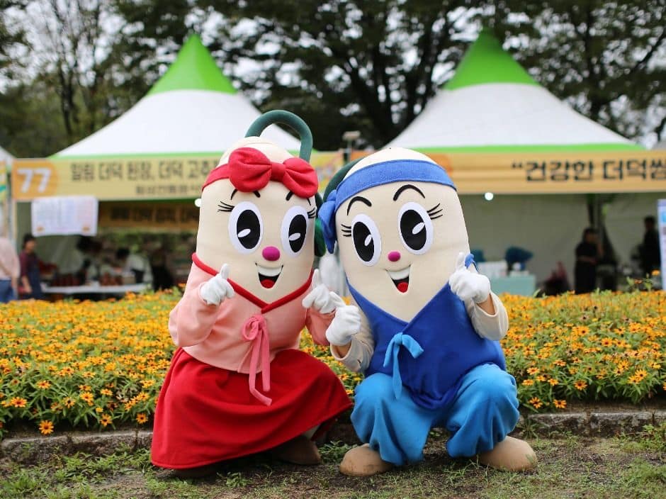 횡성더덕축제