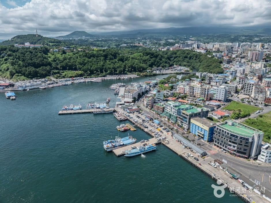 제주_서귀포항 (7)