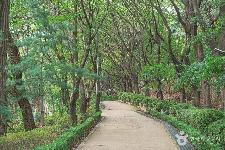 성남_수진공원 (1)