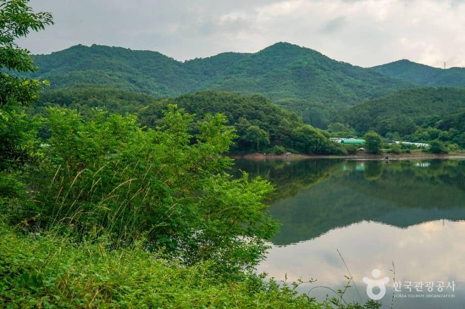 대구_도남지 (6)