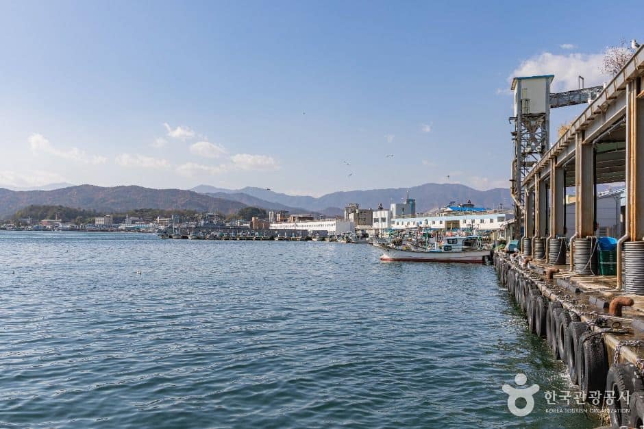고성_강원평화누리길 18코스 고성 거진명태고향길 (5)