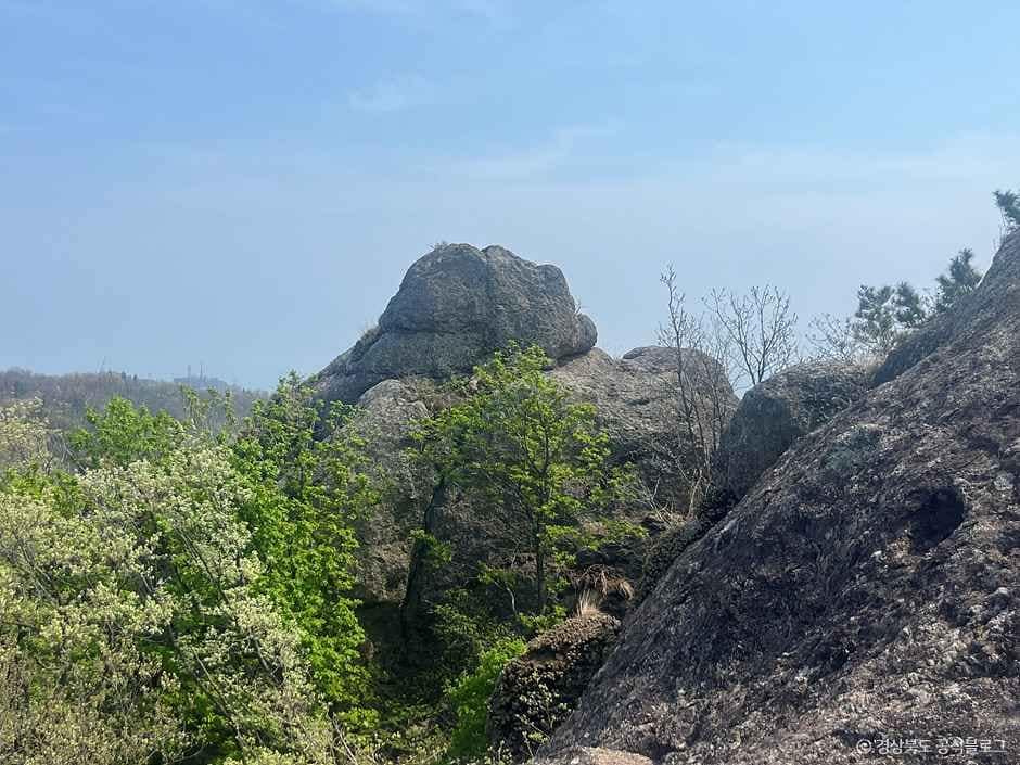 포항_구룡포 말목장성탐방로 (1).jpg
