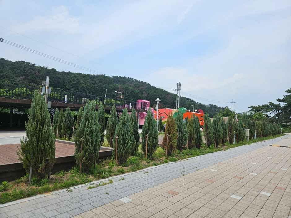 울산_강동오토캠핑장 (1).jpg