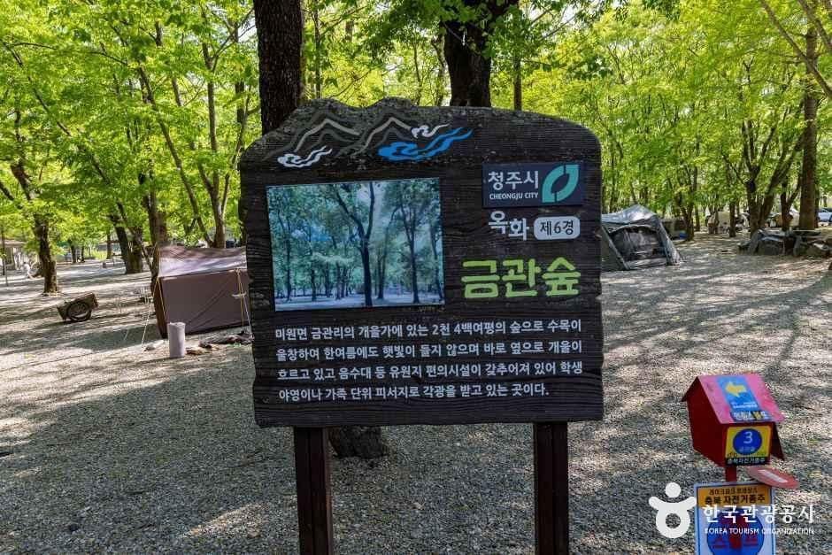 청주_금관숲야영장 (6).jpg