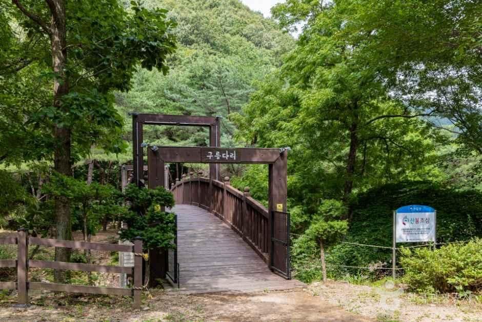 서산_국립용현자연휴양림 (8).jpg