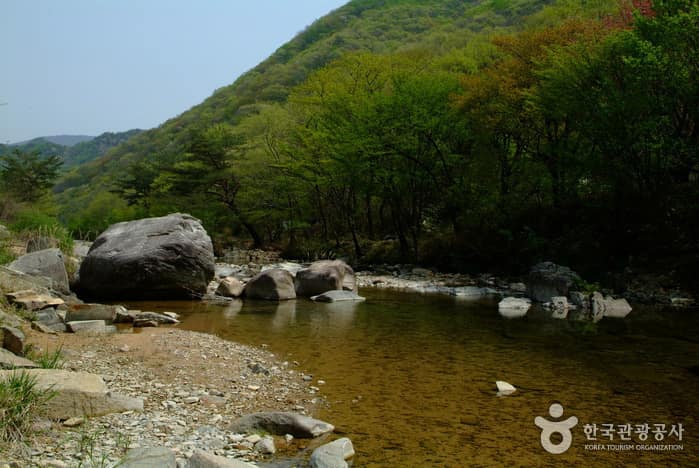 동상운장산계곡_03