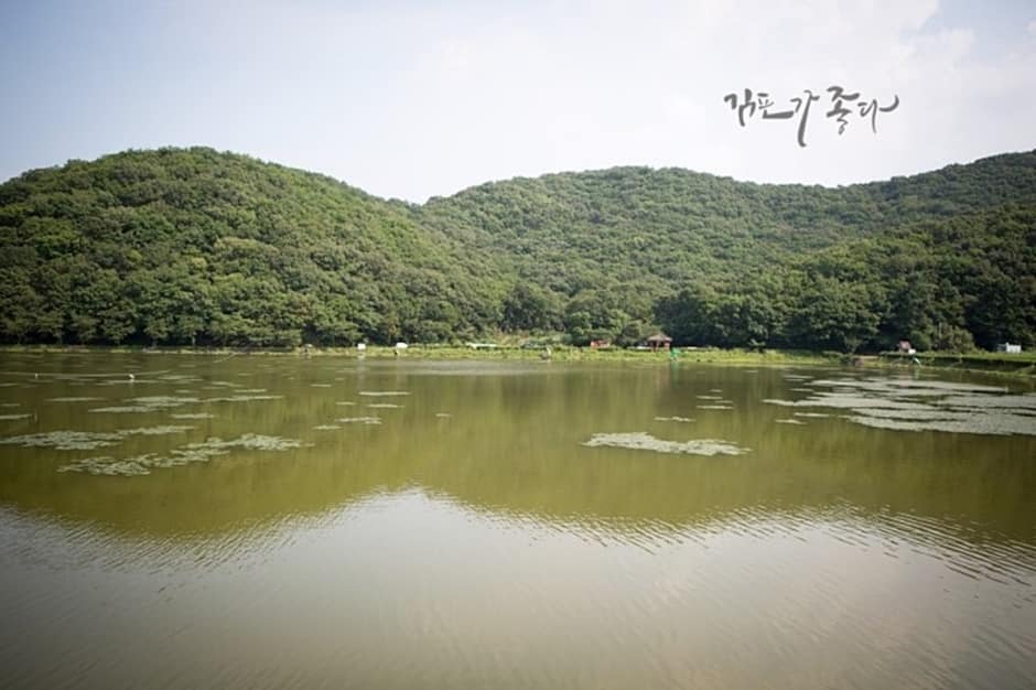 경기도_김포시_조강저수지_호수